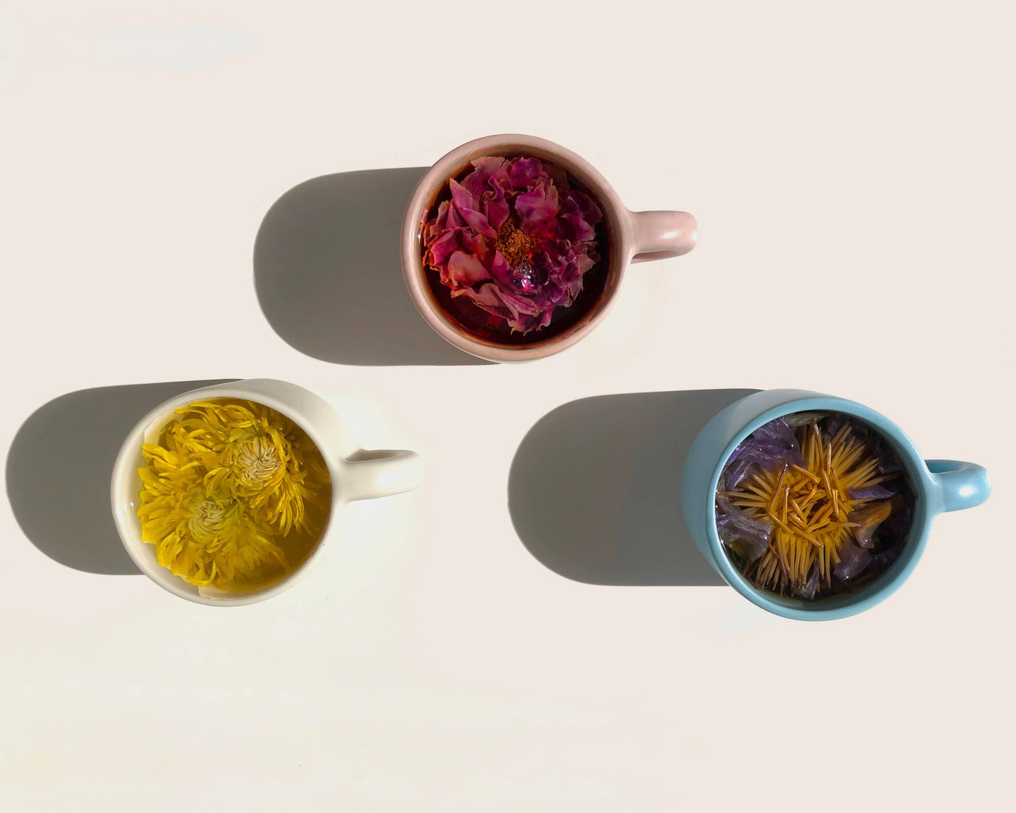 Floral Tea Tasting Sampler