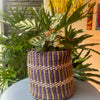 XS Storage Plant Basket: Colorful