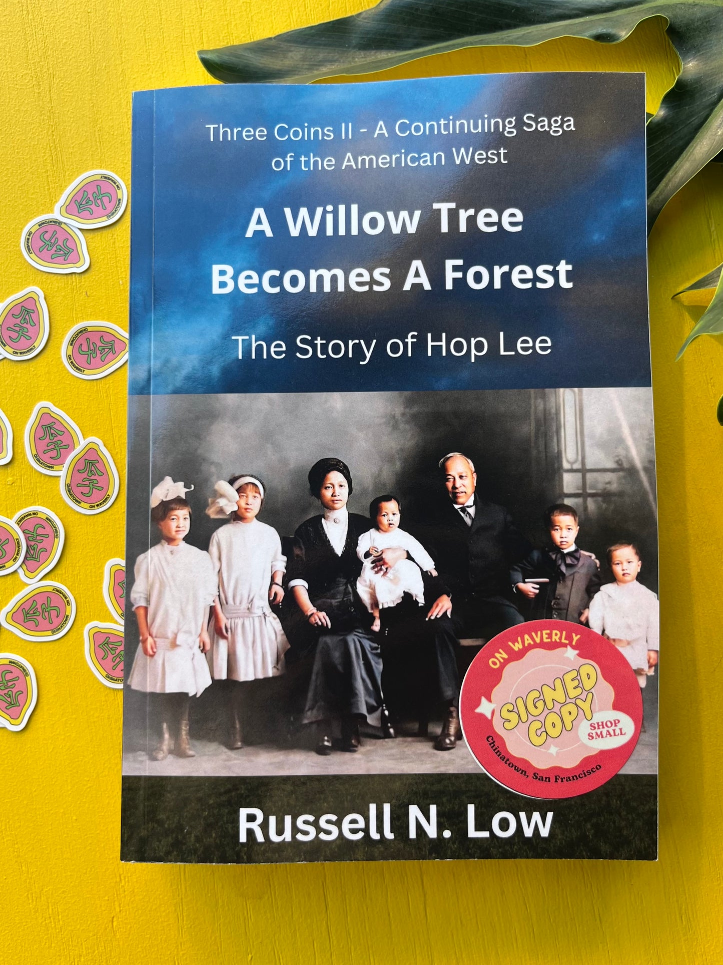 A Willow Tree Becomes a Forest