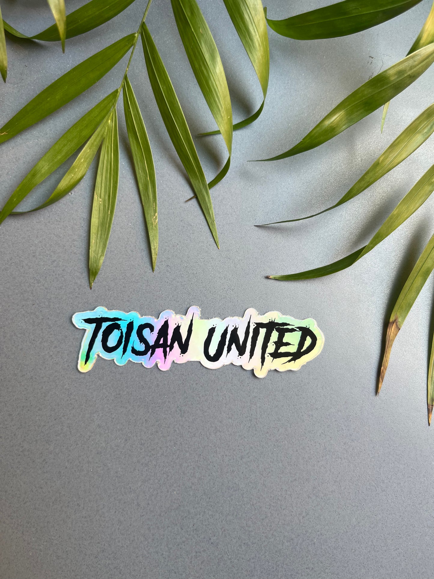 Toisan United Sticker