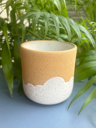 Cloud Cup