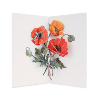 Poppies Pop Up Card