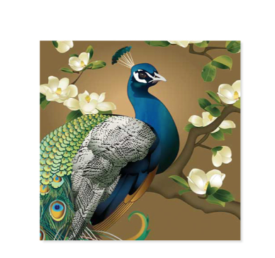 Peacock & Magnolias