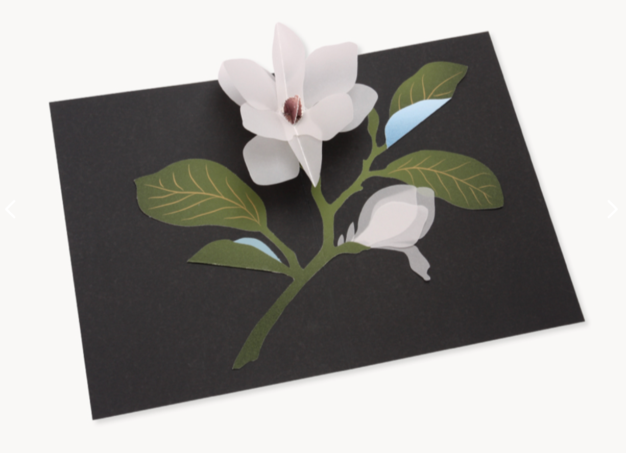 Magnolia Card