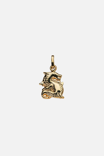 Year of the Dragon Necklace: Gold Vermeil