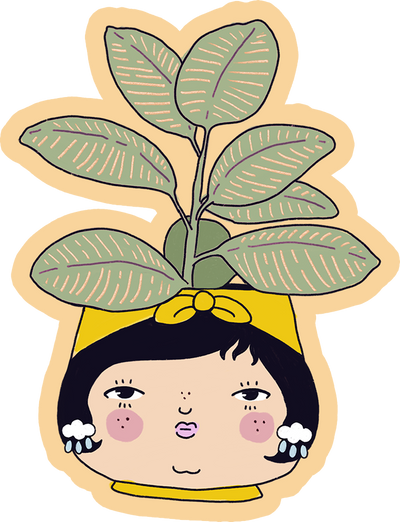 Rubber Tree Sticker