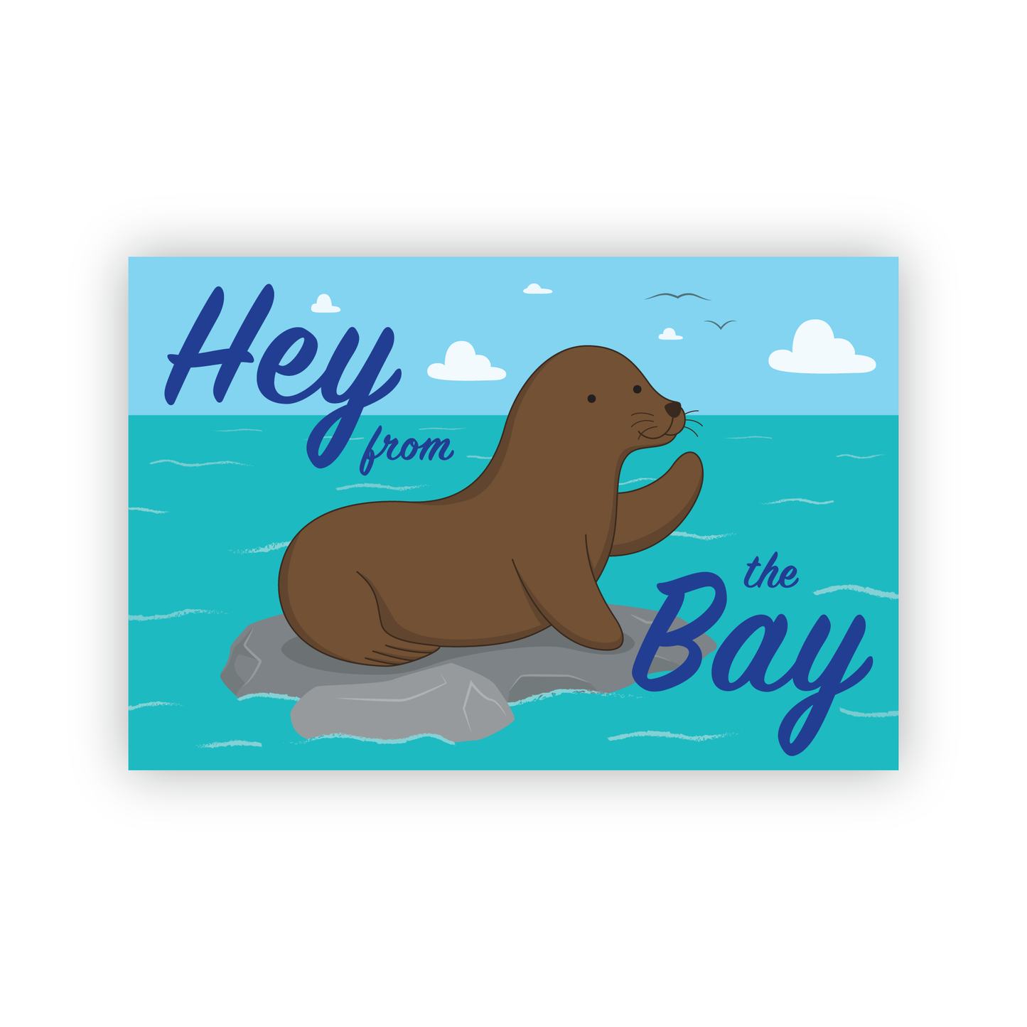 Hey from the Bay Sea Lion Postcard